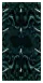 Spiked Shield
